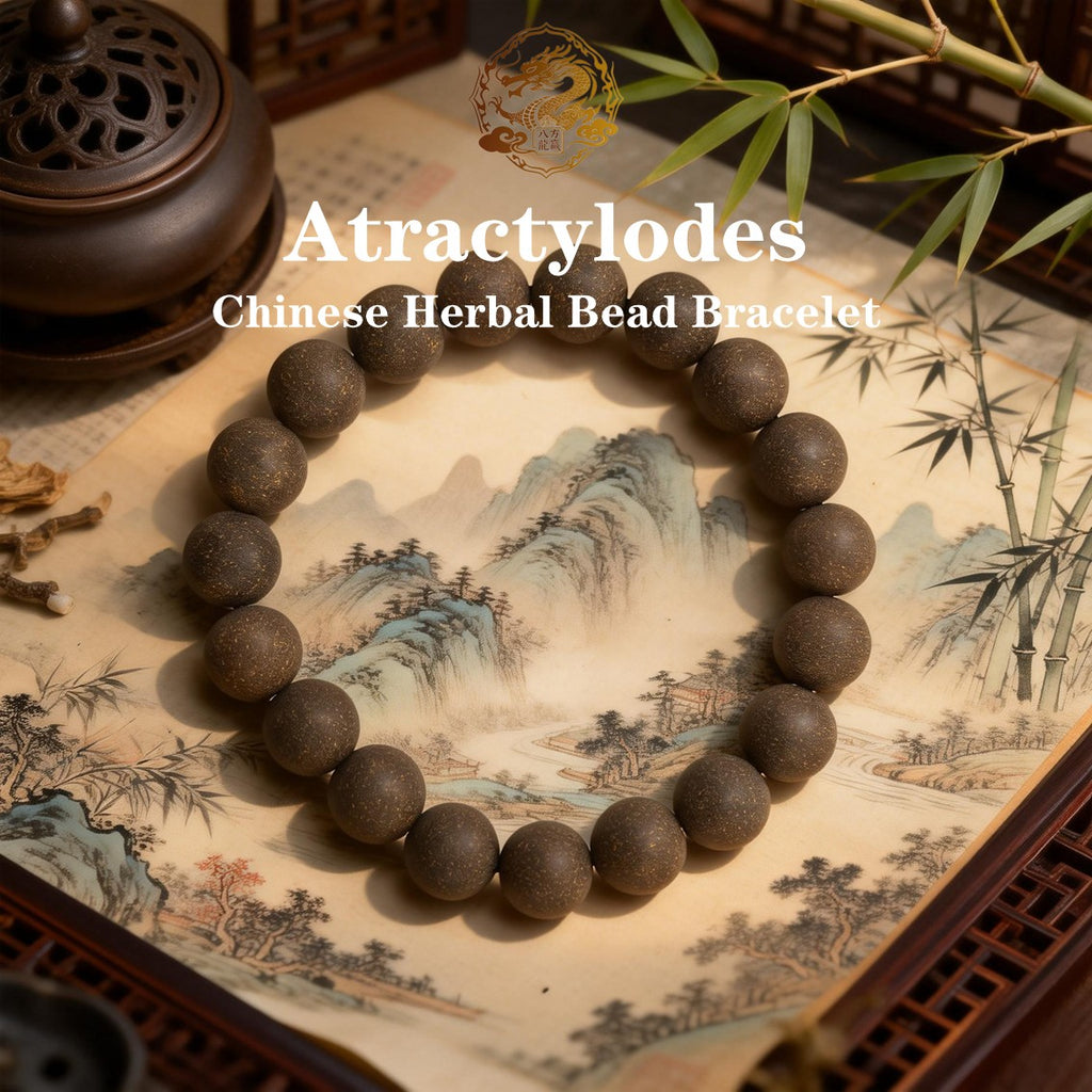 Atractylodes