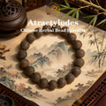 Atractylodes