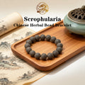 Scrophularia